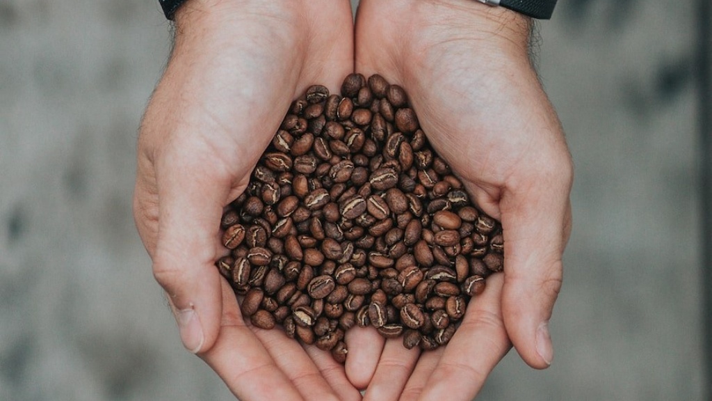 Can nutribullet blend coffee beans?