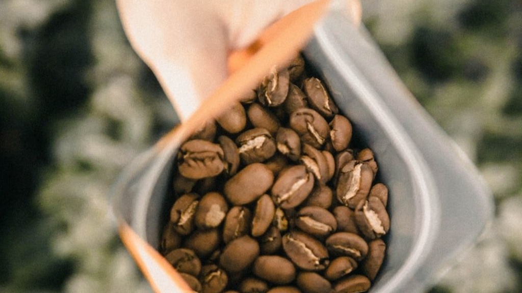 How to plant coffee beans at home?