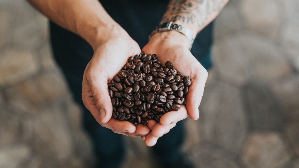 Where to order coffee beans?
